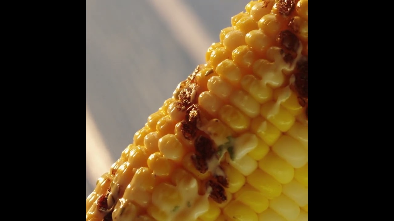 Enjoy Youth Day with South Africa's Premier Payday Loan Company: Vema Finance