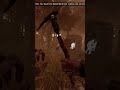 PoV: You touch the sable ward that crashes the servers #dbd #sableward #2v8 #servercrash #blight