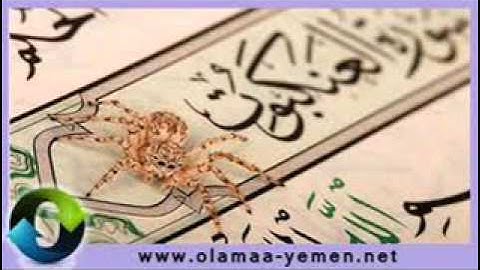 سورة العنكبوت بصوت الشيخ محمد المحيسني