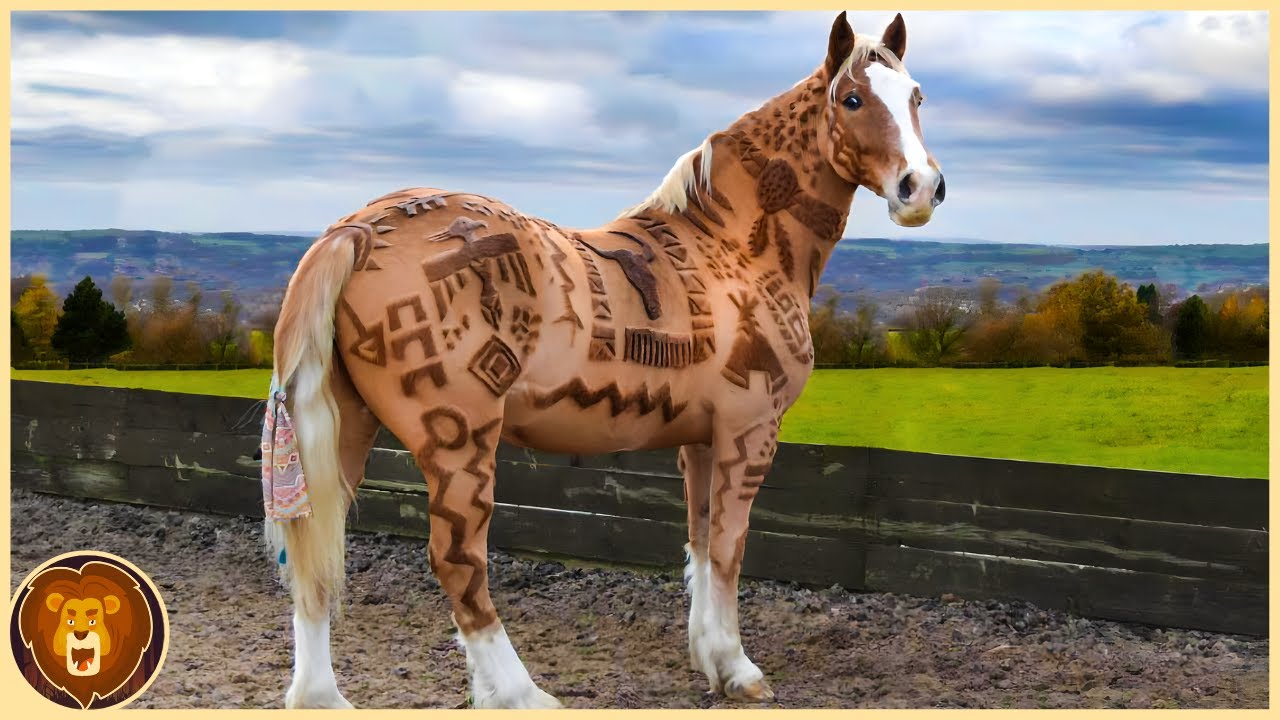 11 einzigartige Pferde, die nur einmal in 1000 Jahren geboren werden