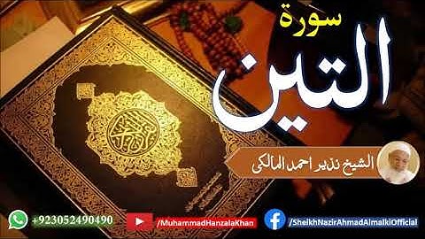 Suratul Teen | Sheikh Qari Nazeer Ahmad Almalki | قاری نذير احمد المالکی | سورة التين