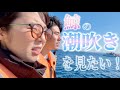 クジラの潮吹きを観に行ってきたin沖縄(単独ライブ企画映像)