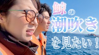 クジラの潮吹きを観に行ってきたin沖縄(単独ライブ企画映像)