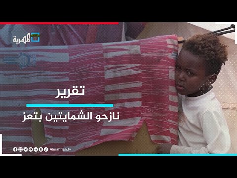 نازحو الشمايتين بتعز يطالبون المنظمات الدولية الإيفاء بتعهداتها