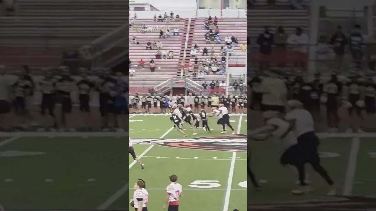 WATCH: Connail Jackson – 2027 RB – Cardinal Mooney (FL)