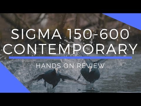 Sigma 150-600mm f/5-6.3 DG OS HSM Contemporary Lens Hands On Review