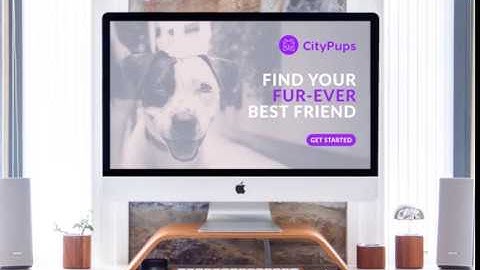 CityPups: A Dog Adoption Website