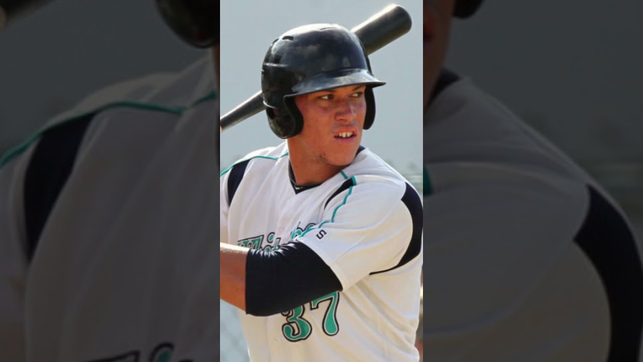 What is the Cape Cod Baseball League? 