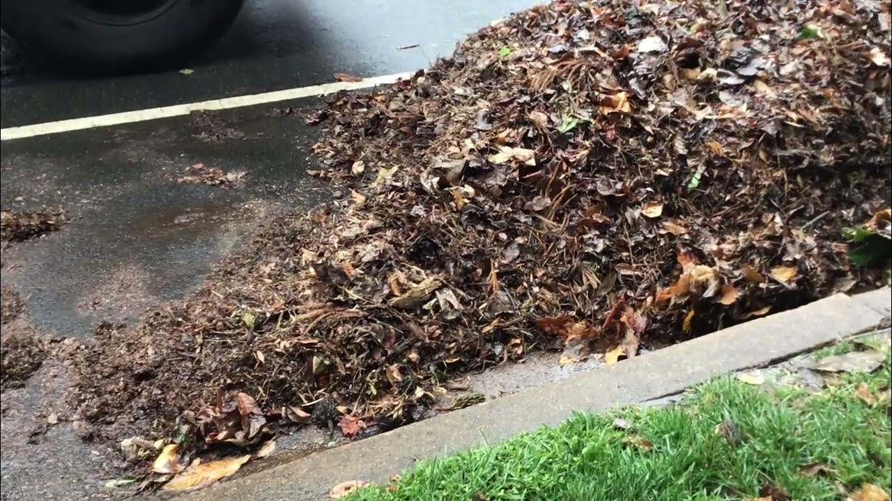 Arlington leaf collection part 2 YouTube
