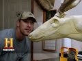 Swamp People: Taxidermy | History