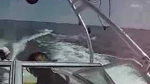 Shaun Carson Wake Boards