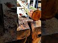 Bandsaw mill slices rough log into planks smoothly