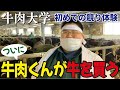 畜産素人が黒毛和牛の競りに挑戦！競り落とせるのか？？？