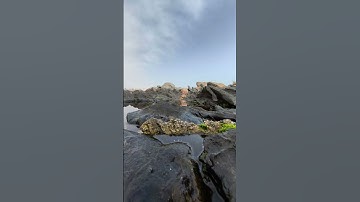 #egzonibrahimi #سورة_الإخلاص #ikhlas #القرآن_الكريم #اكسبلور #لايك #like #explore #trending #turkey