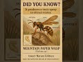 #TemperatePaperWasp #MountainWasp #PolistesBiglumis #InsectFacts #AlpineInsect #WaspsOfTheMountains