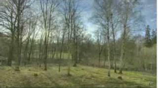 One Year In 40 Seconds