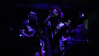 Acid Brigade - No Chance of Rebirth