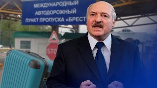Лукашенко умоляет оппозицию вернуться / Новинки
