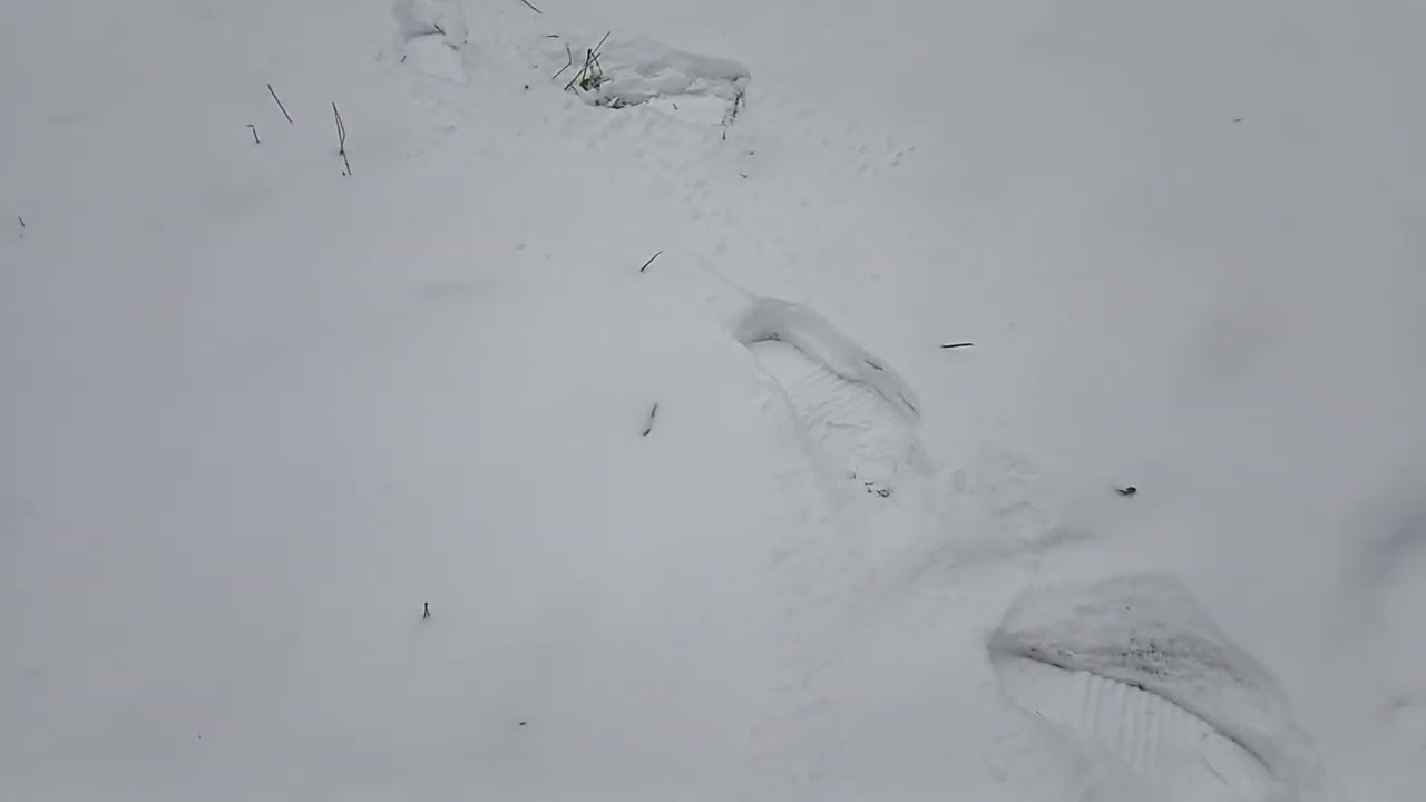 Симферополь,парк Вернадского,19.01.2026г.