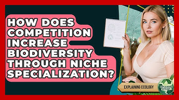 How Does Competition Increase Biodiversity Through Niche Specialization? - Explaining Ecology