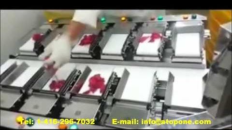 Belt Multiheads Combination Weigher