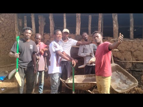 FINALLY I HAVE DONE WITH RENOVATION OF CHICKEN HOUSE WHAT NEXT