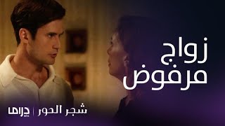 مسلسل شجر الحور| الحلقة 10| واجه عائلته وأصر على الزواج من حبيبته