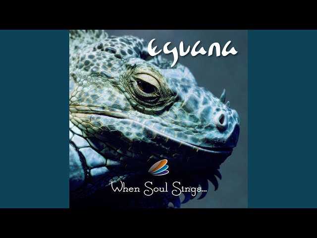 Eguana - Oasis