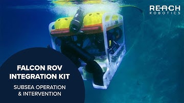 Falcon ROV x Reach Bravo - Highlights | Reach Robotics
