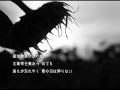 夏の終わり / 森山直太朗・中村中 / cover:伸[nobu](Song &amp; Chorus)