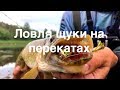 Ловля Щуки На Перекатах