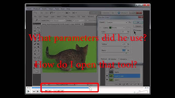 Making Software Tutorial Video Responsive