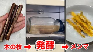 木の枝からメンマは作れるのか？