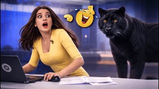 Funniest Live TV Fails and News Bloopers Ever