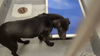 acs A678910