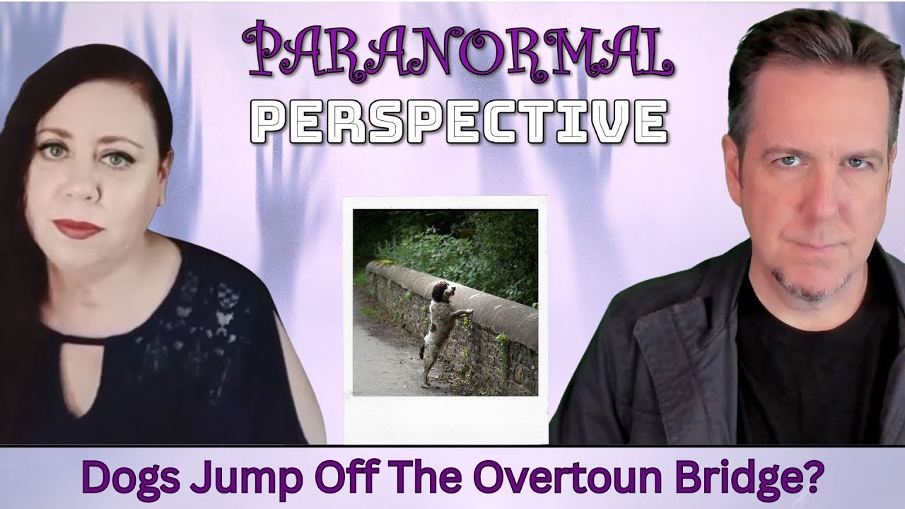 Почему собаки прыгают с моста Овертаун?