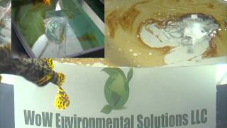 PowerClean on hydrocarbon spill.