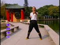 Master peng from foshan demonstrates bhao zhi bill jee wing chung from a non ip man lineage