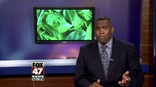 Kroger Stores Recall Spinach Due to Listeria Concerns