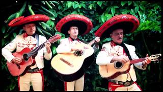 Video thumbnail of "MARIACHI MEXICOLOMBIA A ESA MUJER"
