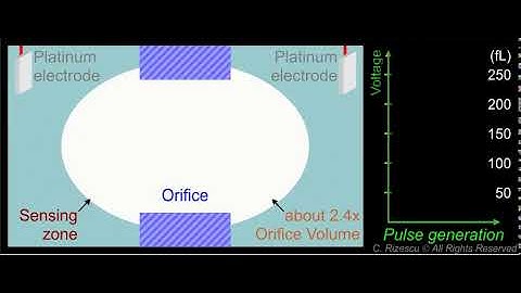 Impedance (Coulter) Principle - Counting and Sizing Blood Cells