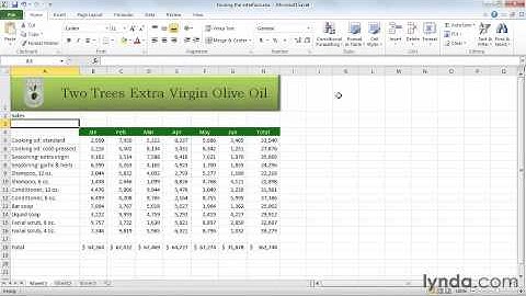 04  Touring the interface from the Course Excel 2010 Essential Training