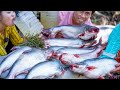 Roast Pangasius Mekongensis Fish with Palm Juice Recipe in Location - Donation Food in My Homeland