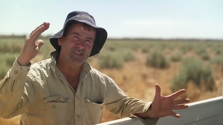 Optimising Anameka fodder shrubs for dryland sheep...
