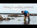 Picking seaweed and cooking it with brill & cockles