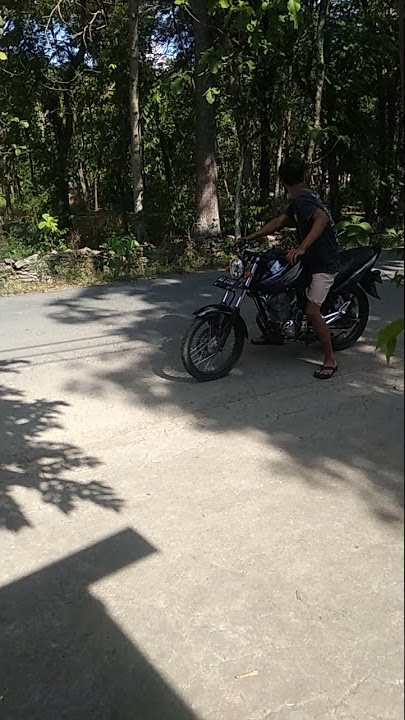 mega pro primus up standar tiger