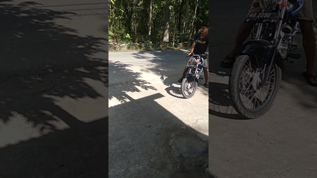 mega pro primus up standar tiger