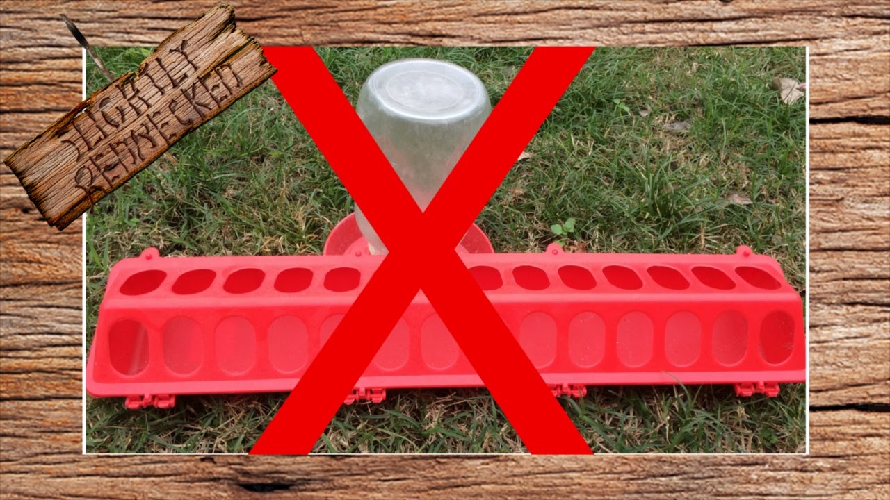 Reduce Or Eliminate Quail Feed Waste The Sr Quail Update 10 31 16