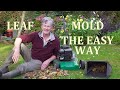 How to make Leaf Mold (Mould) the Easy Way