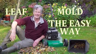 How to make Leaf Mold (Mould) the Easy Way